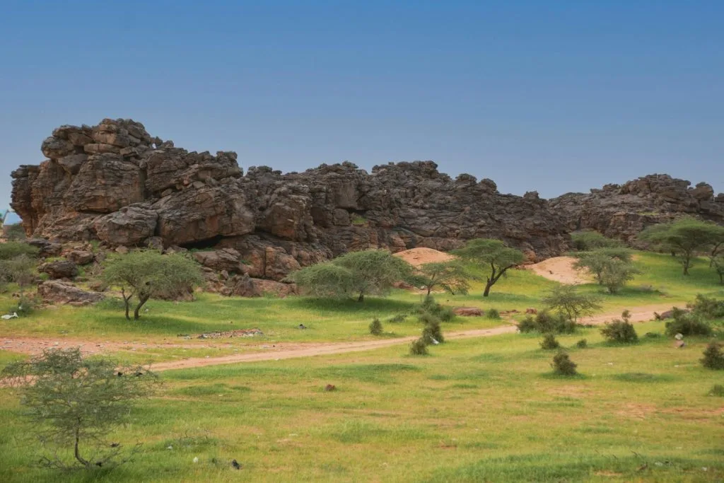 Ecosystem Solutions for Sustainable Adaptation by Cégep de la Gaspésie et des Îles