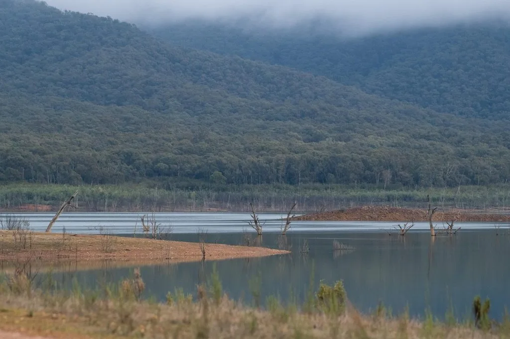 Lake Chad Basin Conservation Project by Alinea