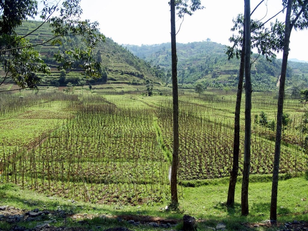SUNCASA par l'Institut International du Développement Durable