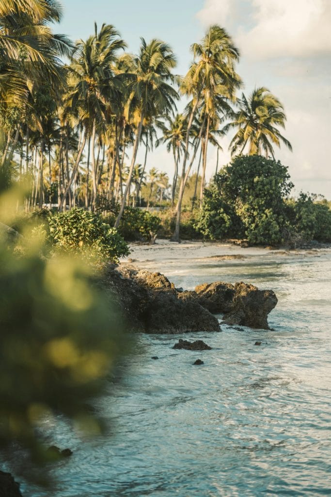 Conservation et gestion durable des écosystèmes côtiers et marins, par Plan International Canada