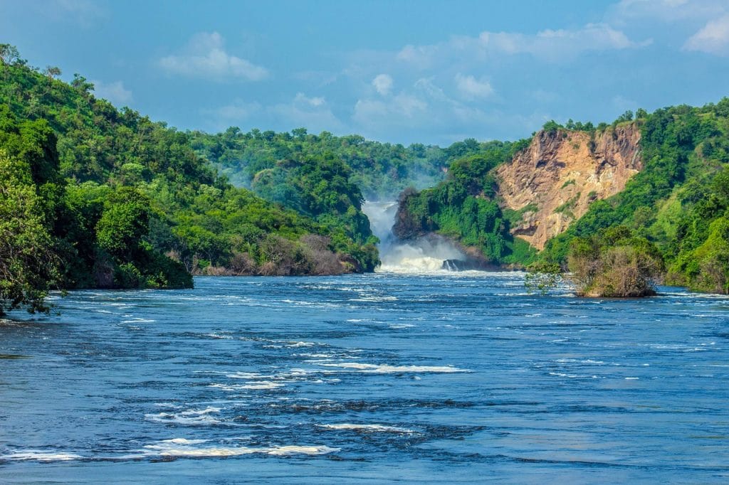 Radios Rurales Internationales présente des solutions climatiques fondées sur la nature et inclusives pour le genre